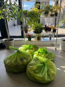 Food Styling Compost from single day