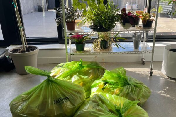 Food Styling Compost from single day